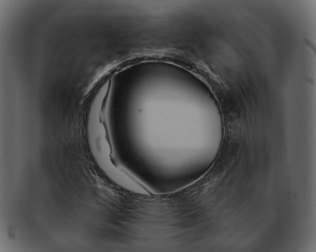 X0000091931256200709191353