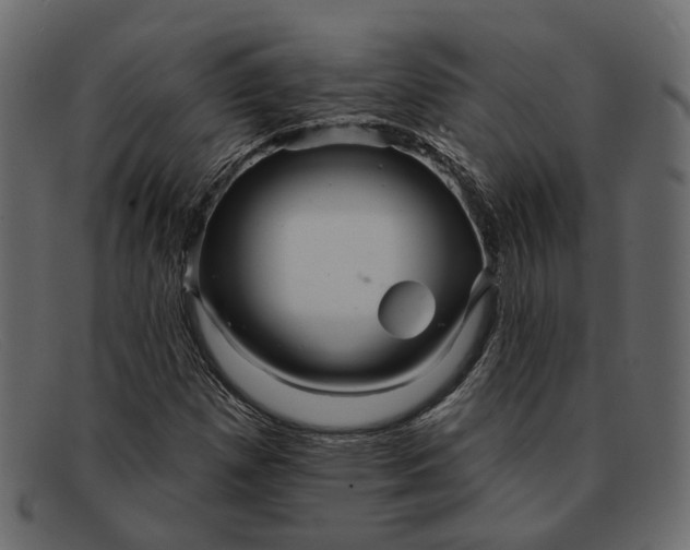 X0000091931257200709191353