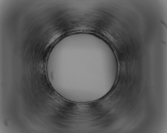 X0000091931258200709191352