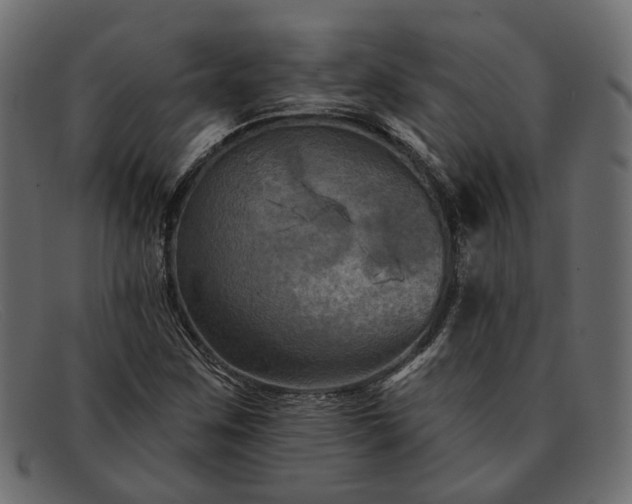 X0000091931259200709191352