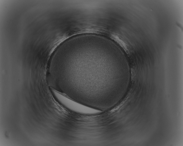 X0000091931260200709191352