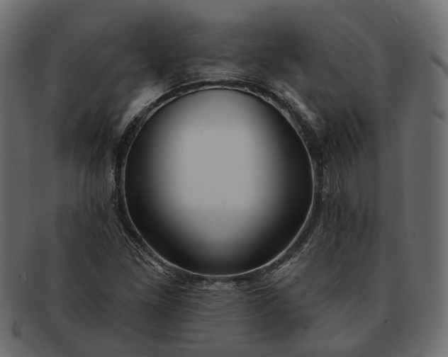 X0000091931261200709191352