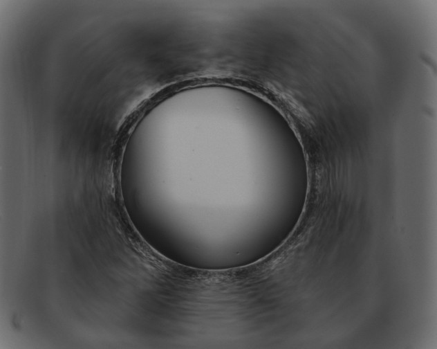 X0000091931262200709191352