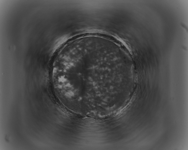 X0000091931263200709191352