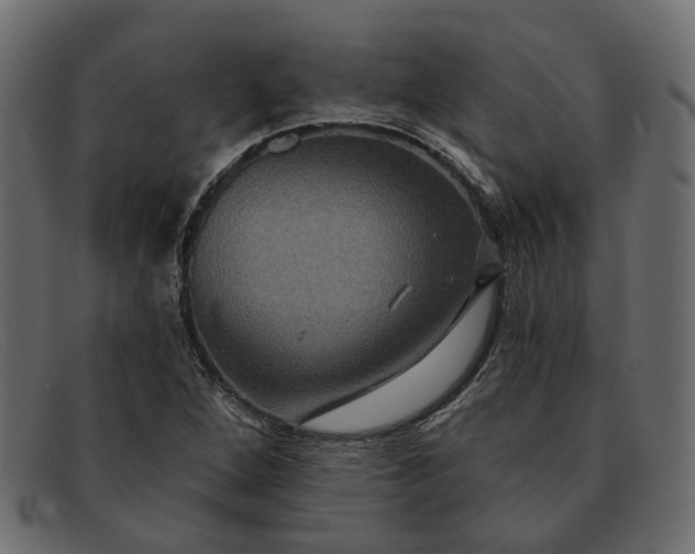 X0000091931264200709191352