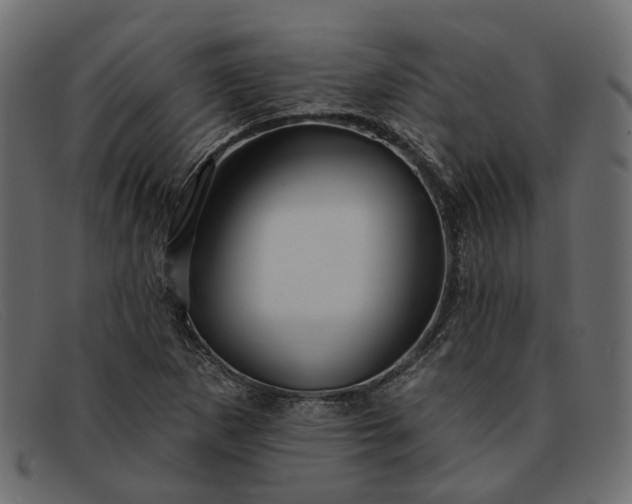 X0000091931265200709191352