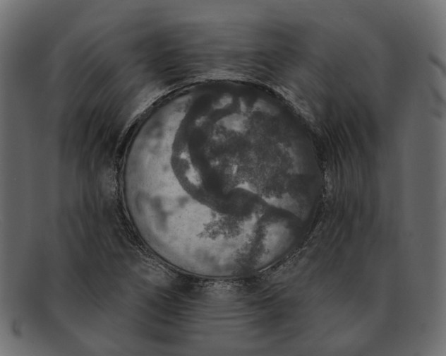 X0000091931266200709191352
