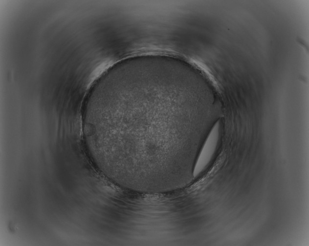 X0000091931267200709191352