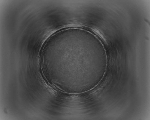 X0000091931268200709191352