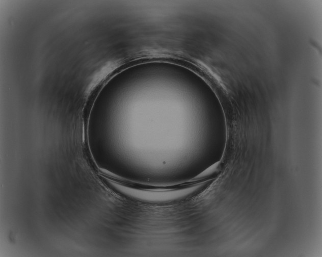 X0000091931269200709191352