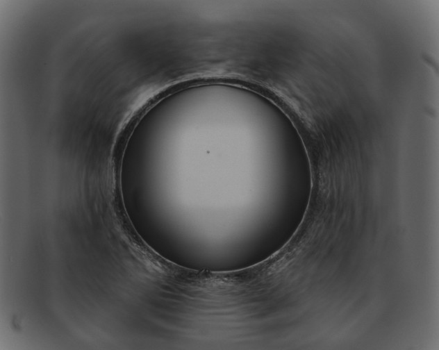 X0000091931270200709191352
