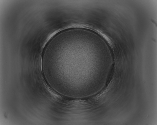 X0000091931272200709191352