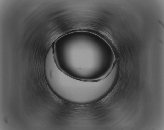 X0000091931273200709191352