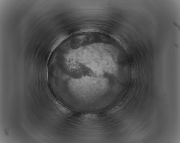 X0000091931274200709191352