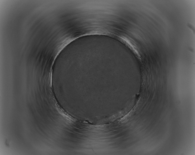 X0000091931276200709191352