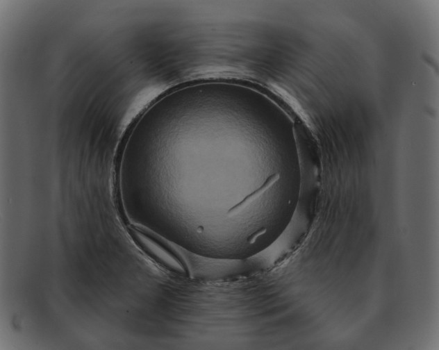 X0000091931277200709191352