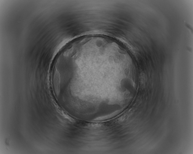 X0000091931278200709191352
