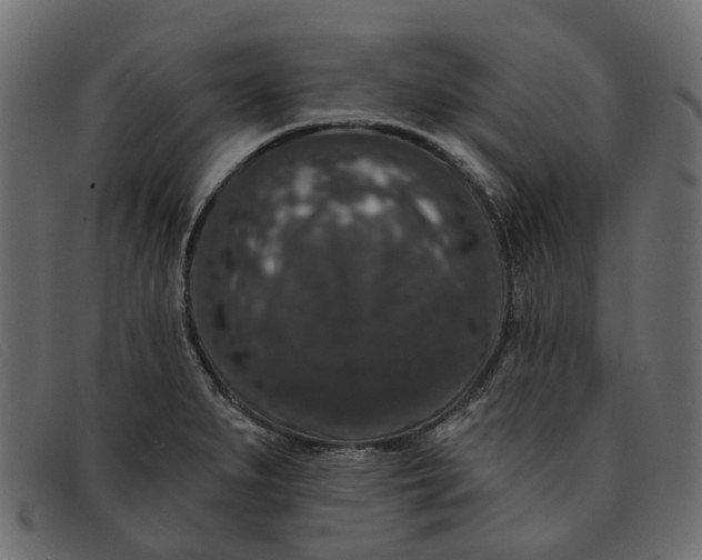 X0000091931279200709191352