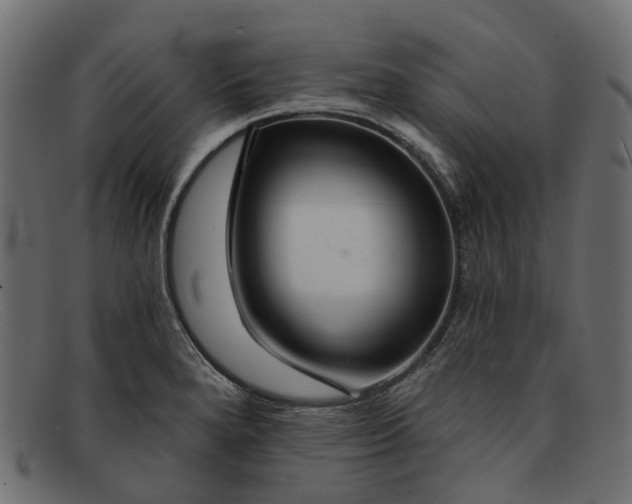 X0000091931280200709191352