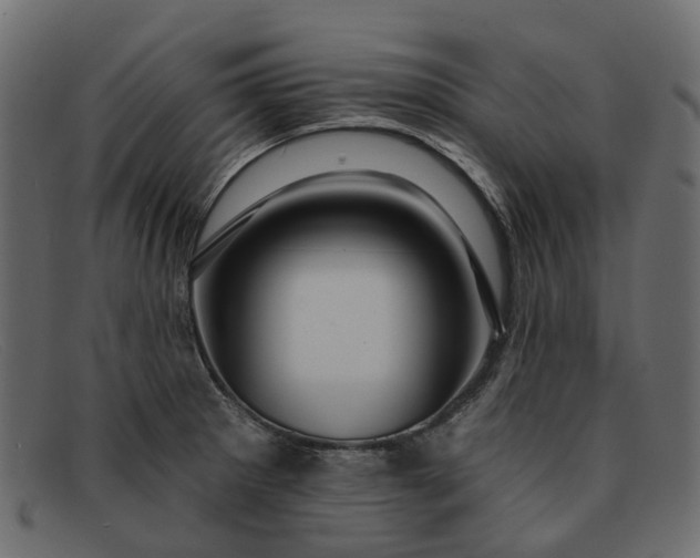 X0000091931281200709191352