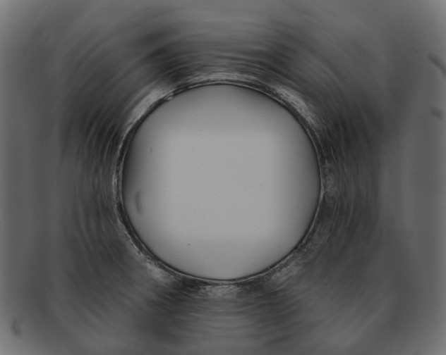 X0000091931282200709191352