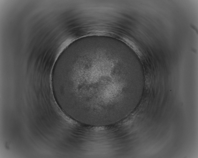 X0000091931283200709191352