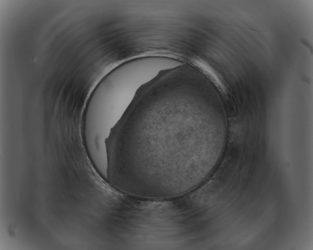 X0000091931284200709191352