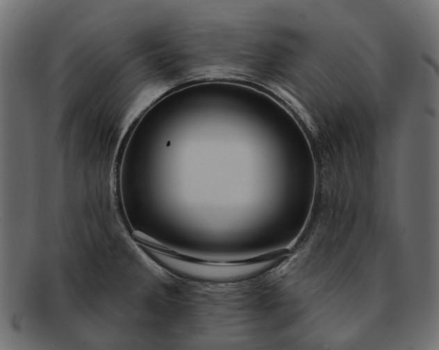 X0000091931285200709191352