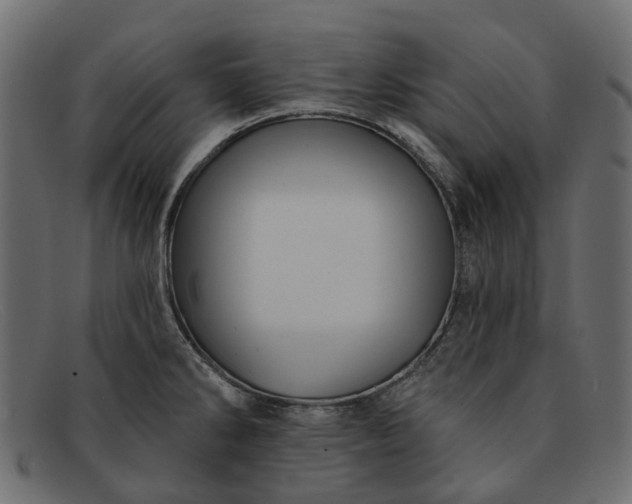 X0000091931286200709191352