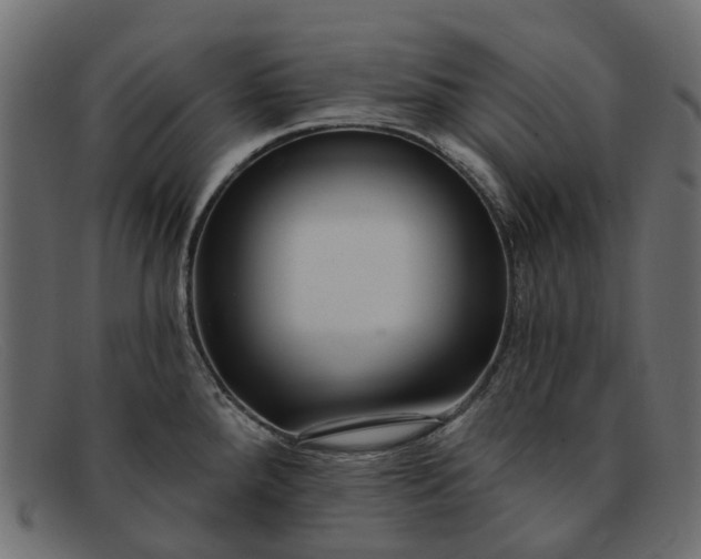 X0000091931288200709191352