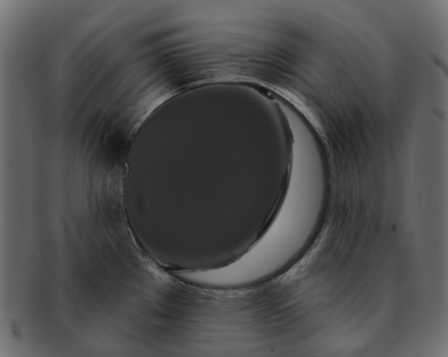 X0000091931289200709191352