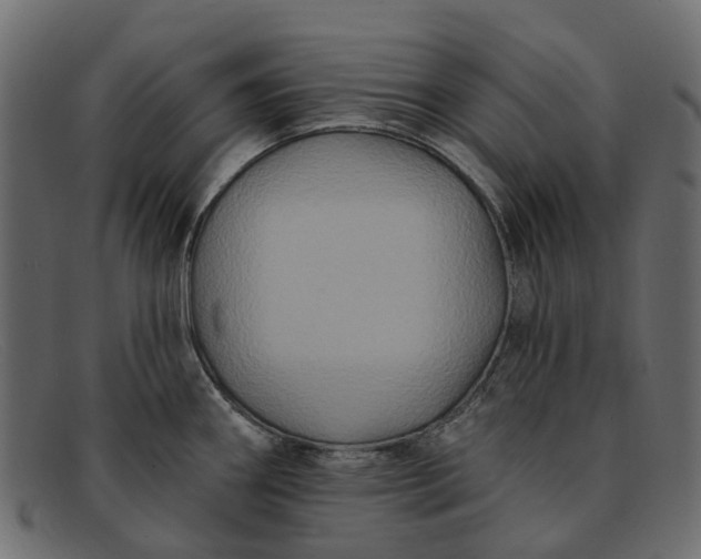 X0000091931290200709191352
