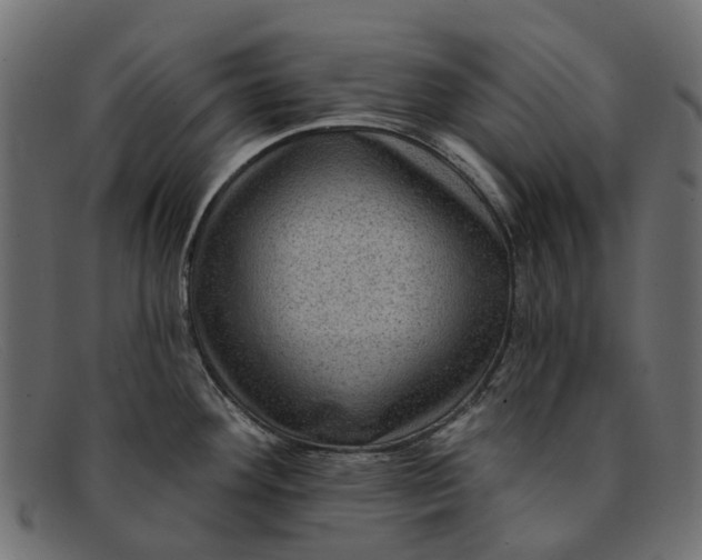 X0000091931292200709191352