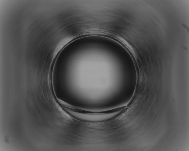 X0000091931293200709191352