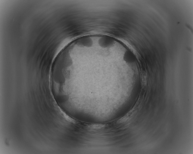 X0000091931294200709191352
