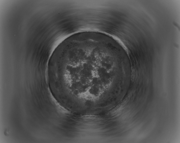 X0000091931295200709191352