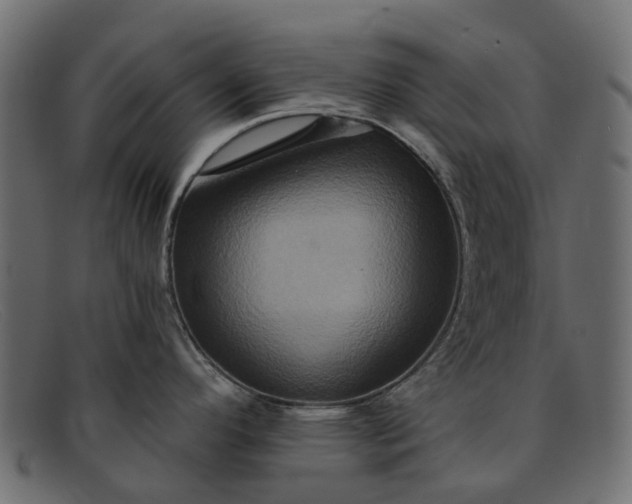 X0000091931296200709191352