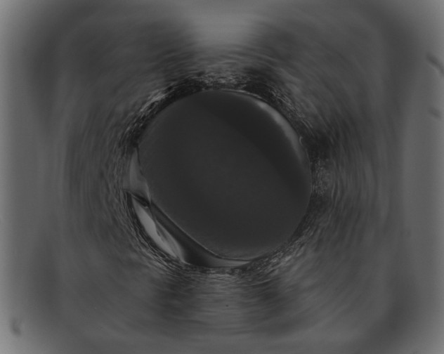 X0000091931297200709191351