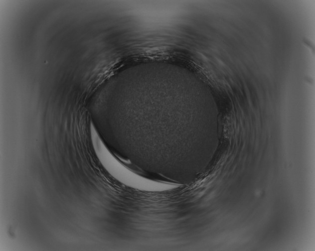 X0000091931298200709191351