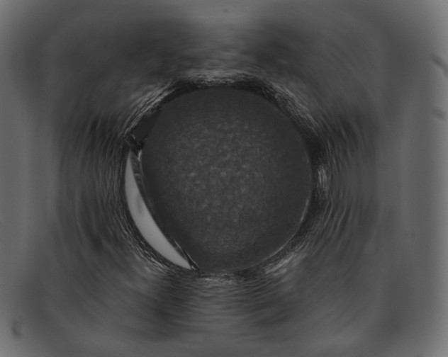 X0000091931300200709191351