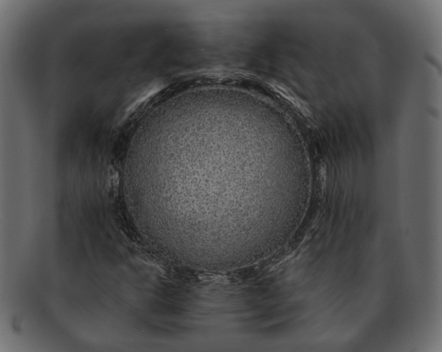 X0000091931302200709191351