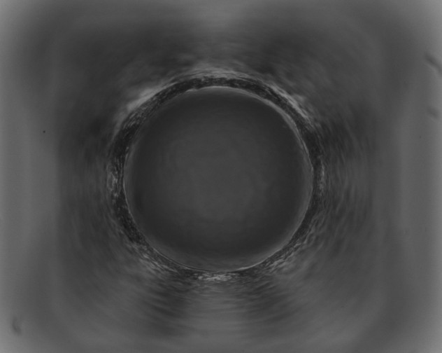 X0000091931303200709191351