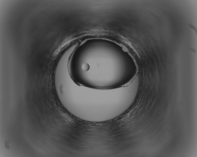 X0000091931304200709191351