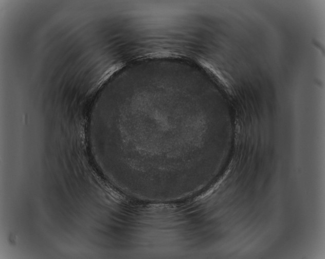 X0000091931305200709191351