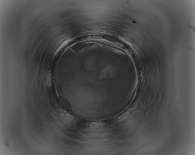 X0000091931306200709191351