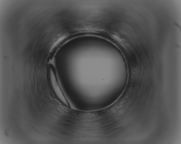 X0000091931307200709191351