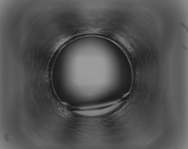 X0000091931308200709191351