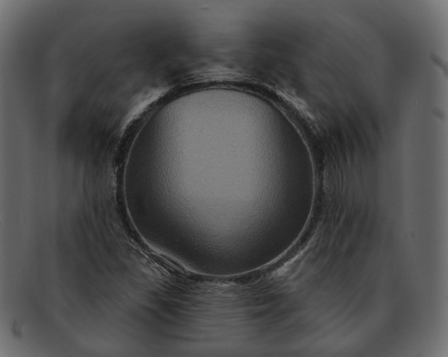 X0000091931309200709191351