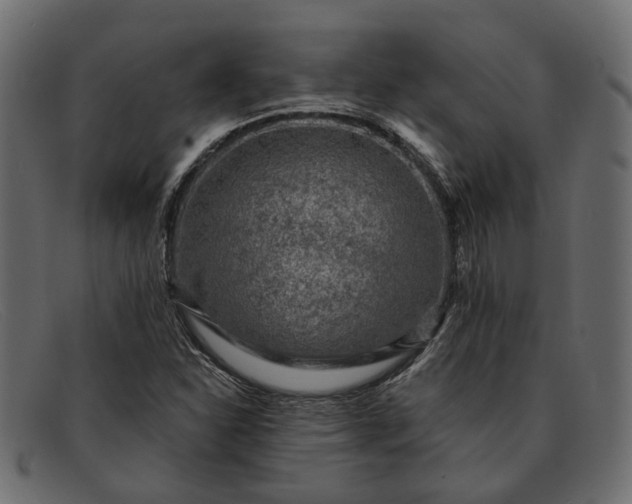 X0000091931310200709191351