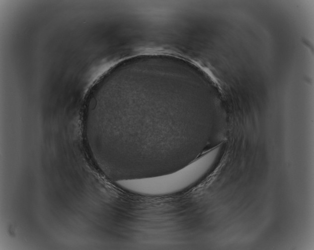 X0000091931311200709191351